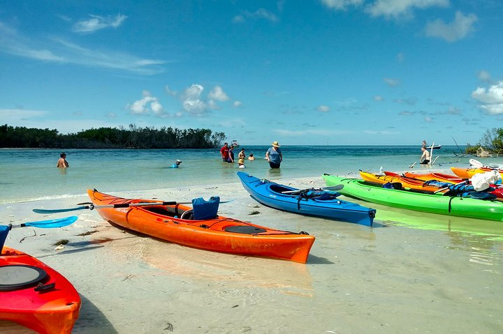 Kayak Adventure of Shell Key Preserve & Island with a Local - Photo 1 of 7